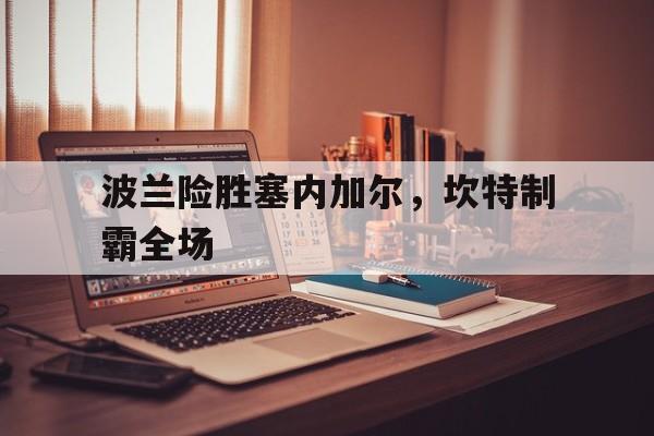 开云体育APP下载-波兰险胜塞内加尔,坎特制霸全场的简单介绍