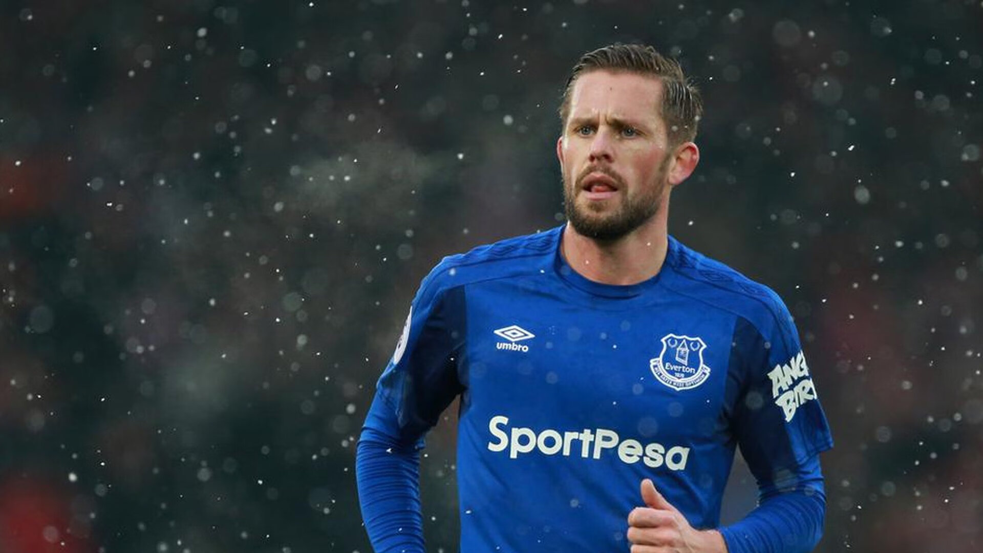 平行宇宙的篮板与绿茵